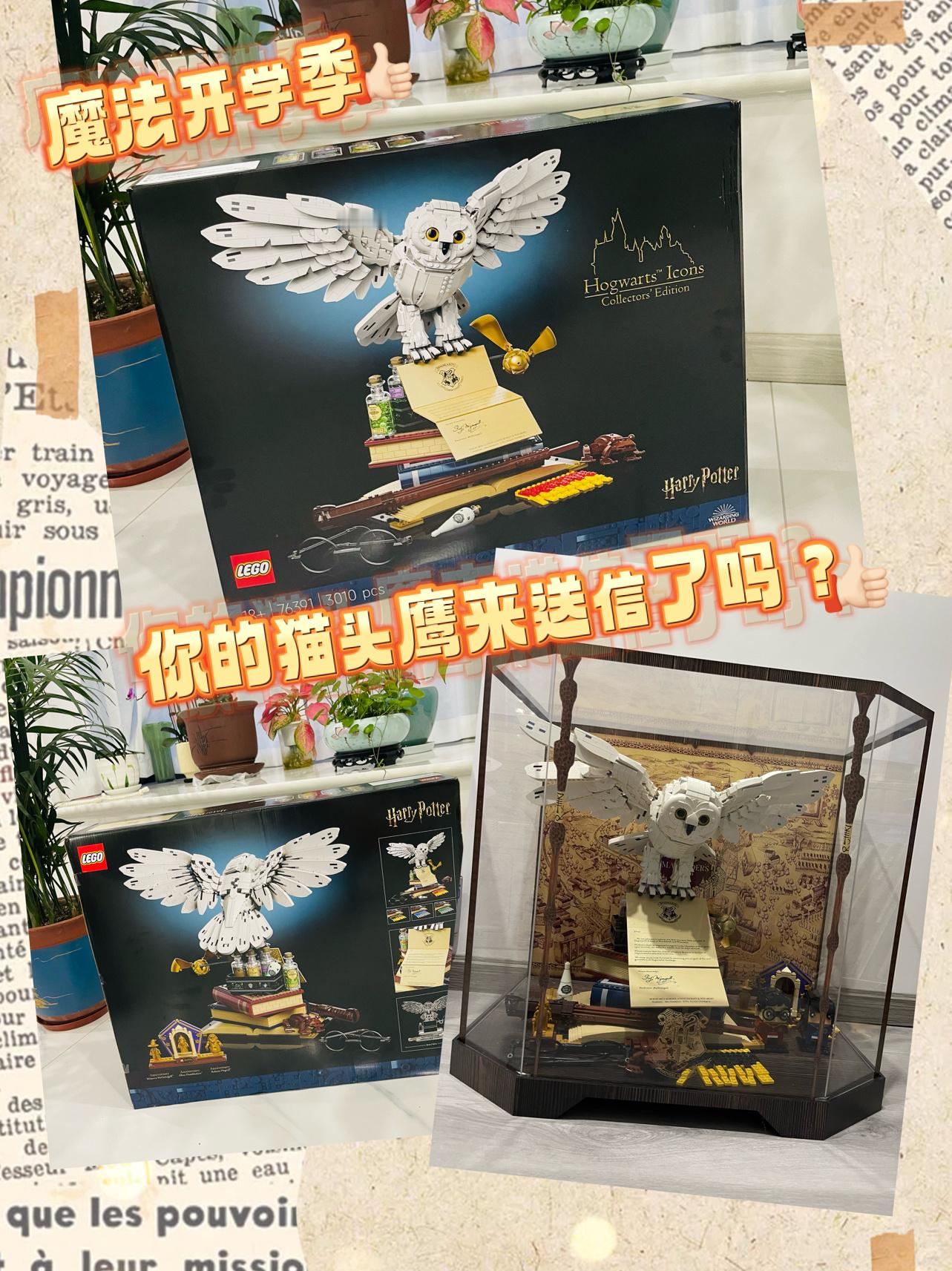 魔法开学季，这套乐高海德薇7631值得拥有！1：1的魔杖&哈利眼镜、霍格沃茨录取