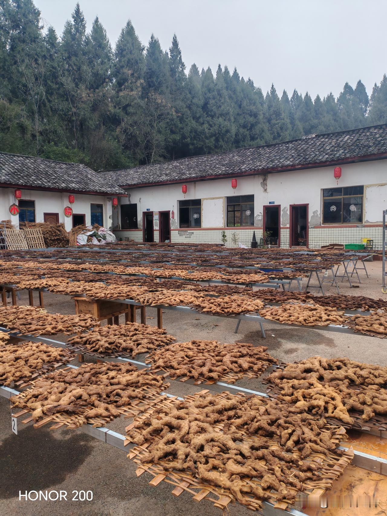 不忘初心，牢记使命：打造九蒸九晒黄精的良心企业
在当今竞争激烈的健康产品市场中，