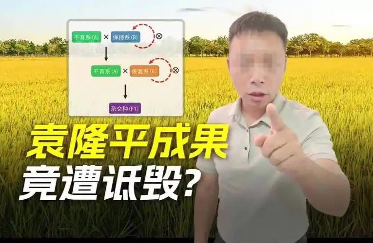 200万粉网红诋毁袁隆平院士被刑拘！为流量抹黑恩人，这回真踩铁板上了！


大快
