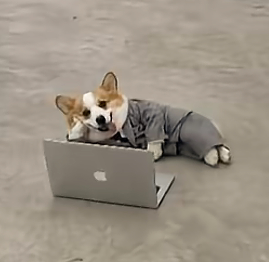 我本人 