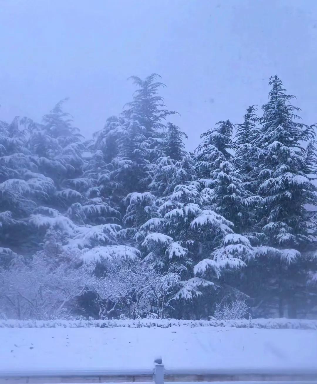 今年第一场雪，来的不早不晚，下的不大不小，大家出行注意安全…