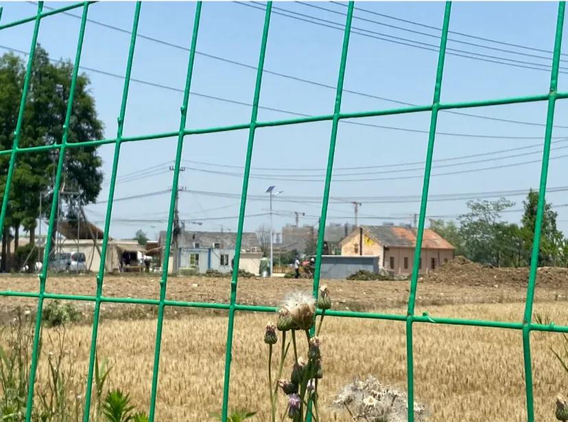 没有清醒的粉丝发言
我不喜欢饭圈文化，除了无脑以外，就是以爱的名义去要求别人怎么