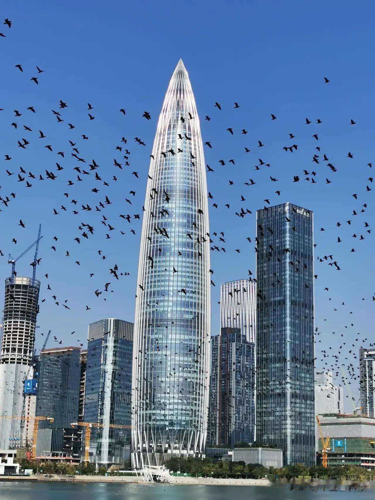美国西海岸对面城市圣安芝恩市，一副人与自然和谐的景观[狗头]