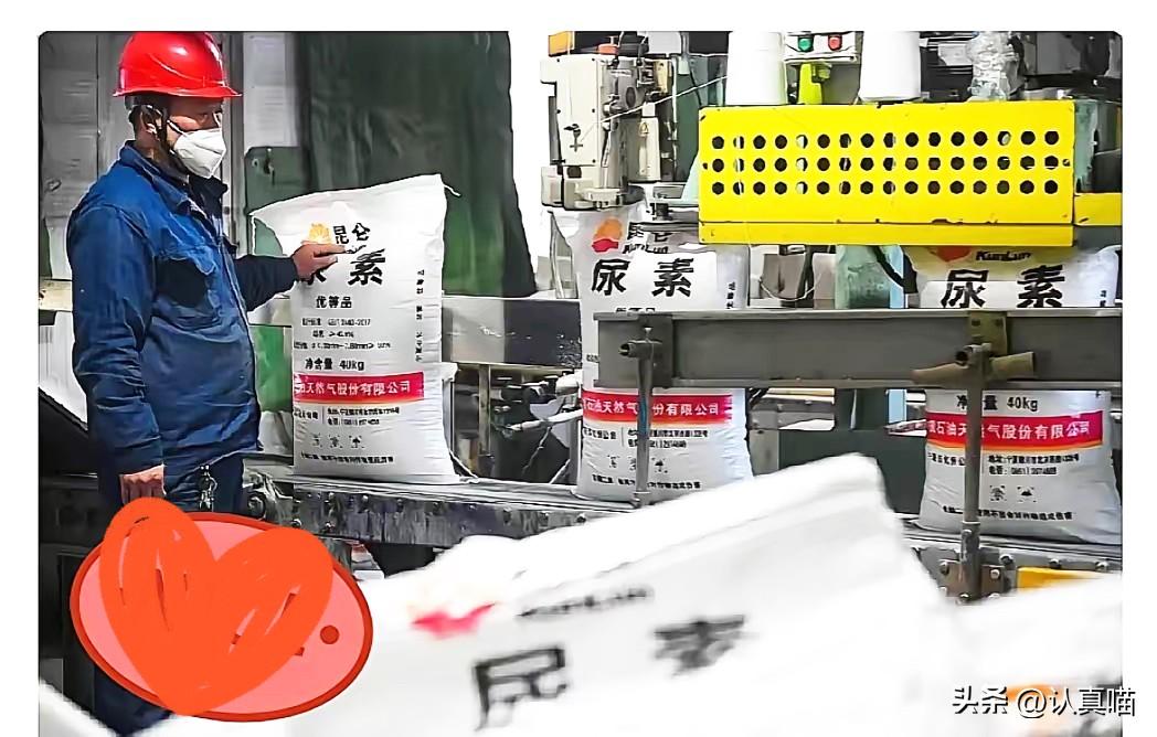 我敢说，霍尔木兹海峡风波持续发酵，最先站上风口的不是沿海小国，而是咱们西北的宁夏