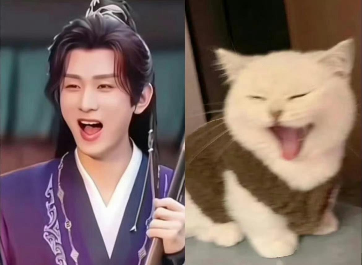 电视剧两京十五日[超话]不是，为毛一模一样啊？不行了，哈哈哈……实在太萌了。@成