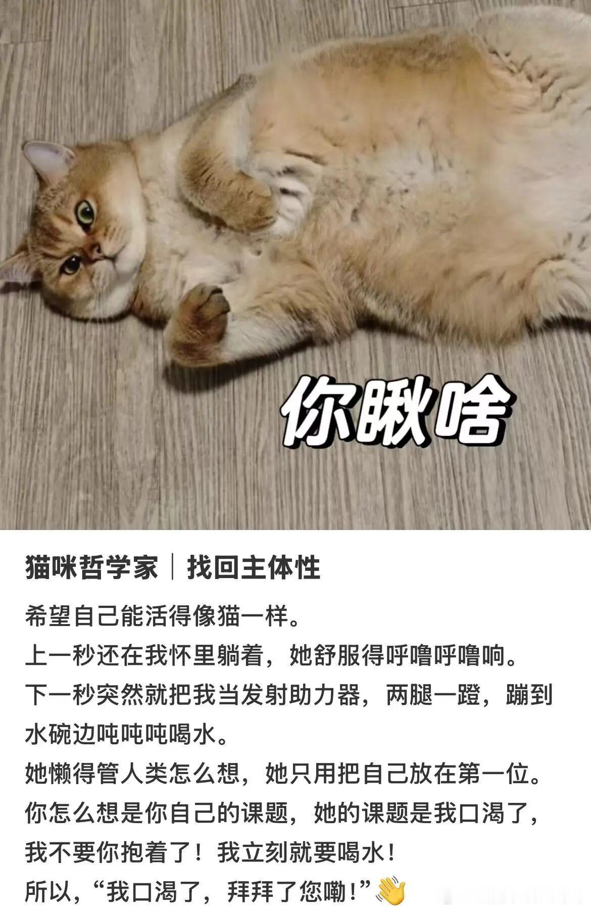 成年但未成年感活在当下，自己看着办，自己开心就行了 