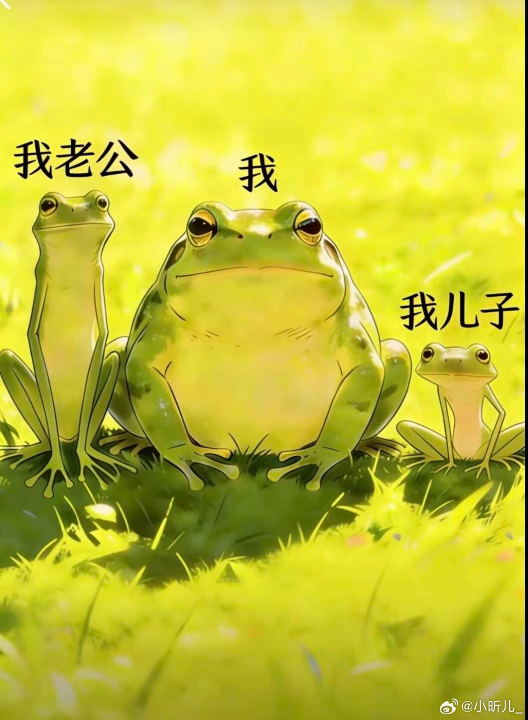 一个常年需要减肥的妈嫁了一个怎么吃都吃不胖的爸生了一个怎么养都养不肥的娃此图有梗