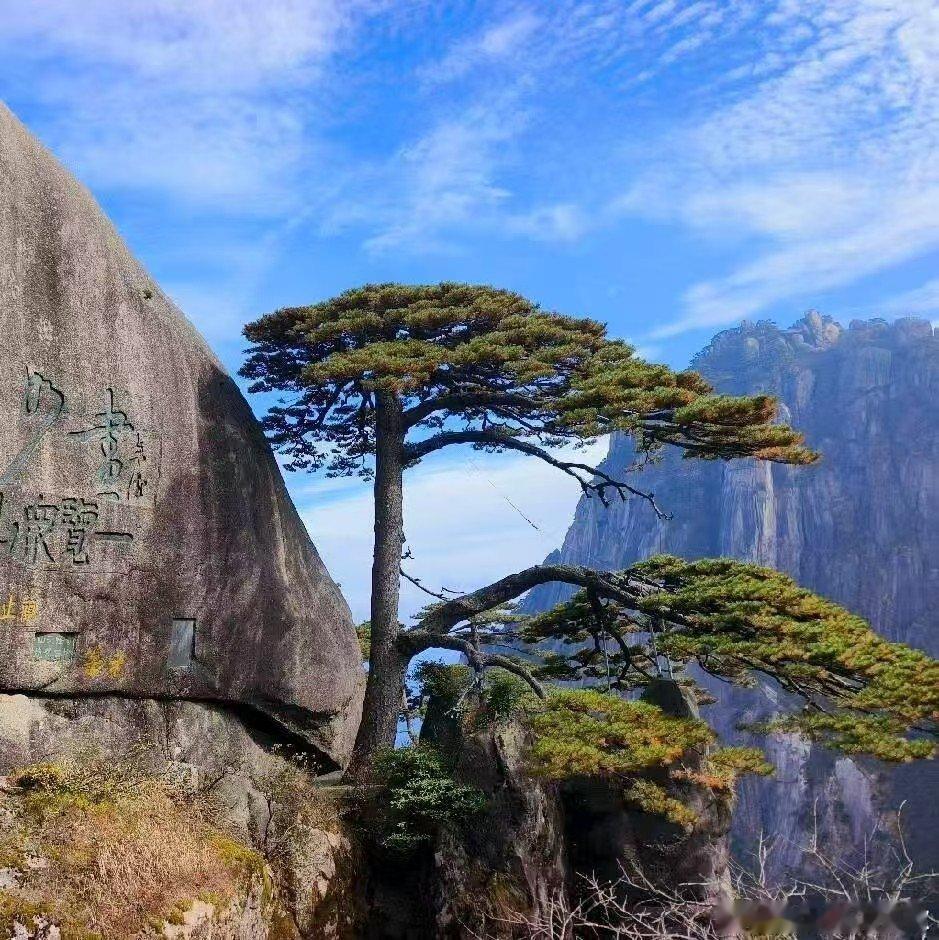 人生没有白走的路，每一步都算数，哪怕是弯路，也是成长的必经之路。早安现实社会大实