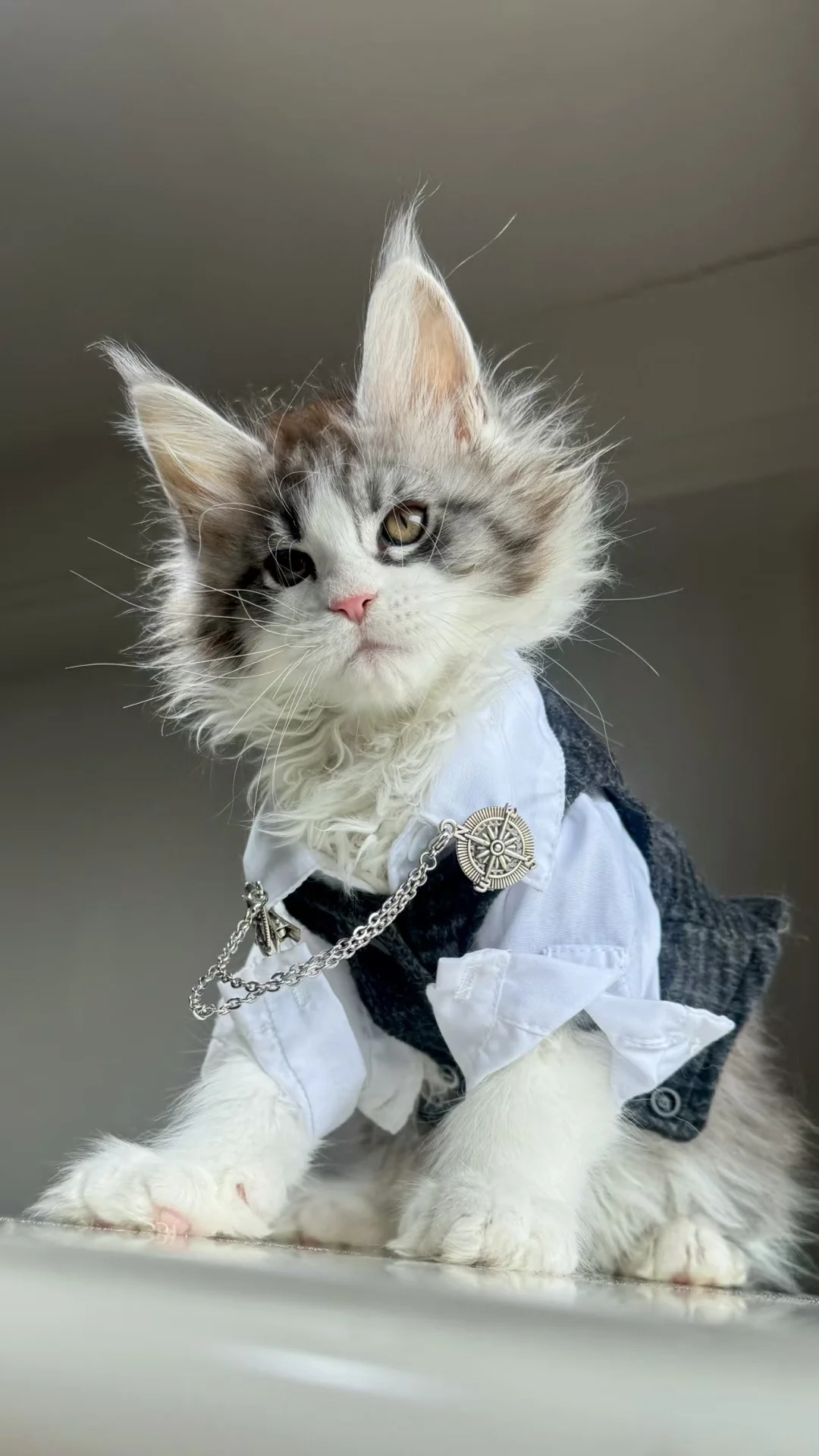 重蹲新家的贵公子