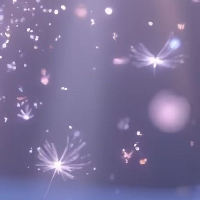 阳光信用  积极的生活态度是成功的关键。让我们用乐观的心态去看待每一个问题，用积