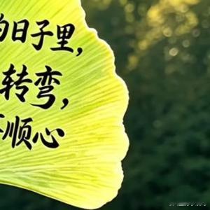 生活手记生活原本沉闷，但跑起来就有风。我们每个人都可以成为自己的太阳，用微笑面对