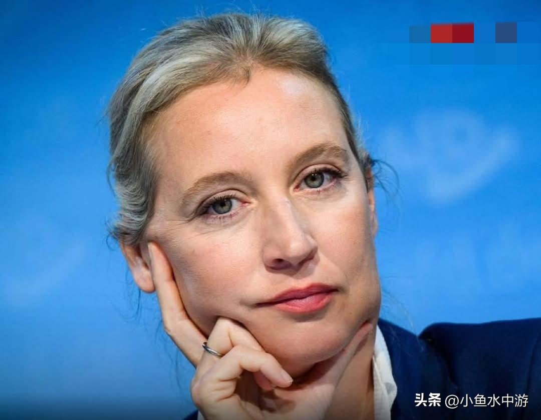 德国右翼政党德国选择党（AfD，全称为“德国另类选择党”）领导人爱丽丝·魏德尔（