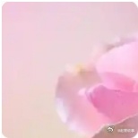 《我的前半生》中的罗子君就是因为对方放弃了自己的工作，时间长了，对方就开始嫌弃她
