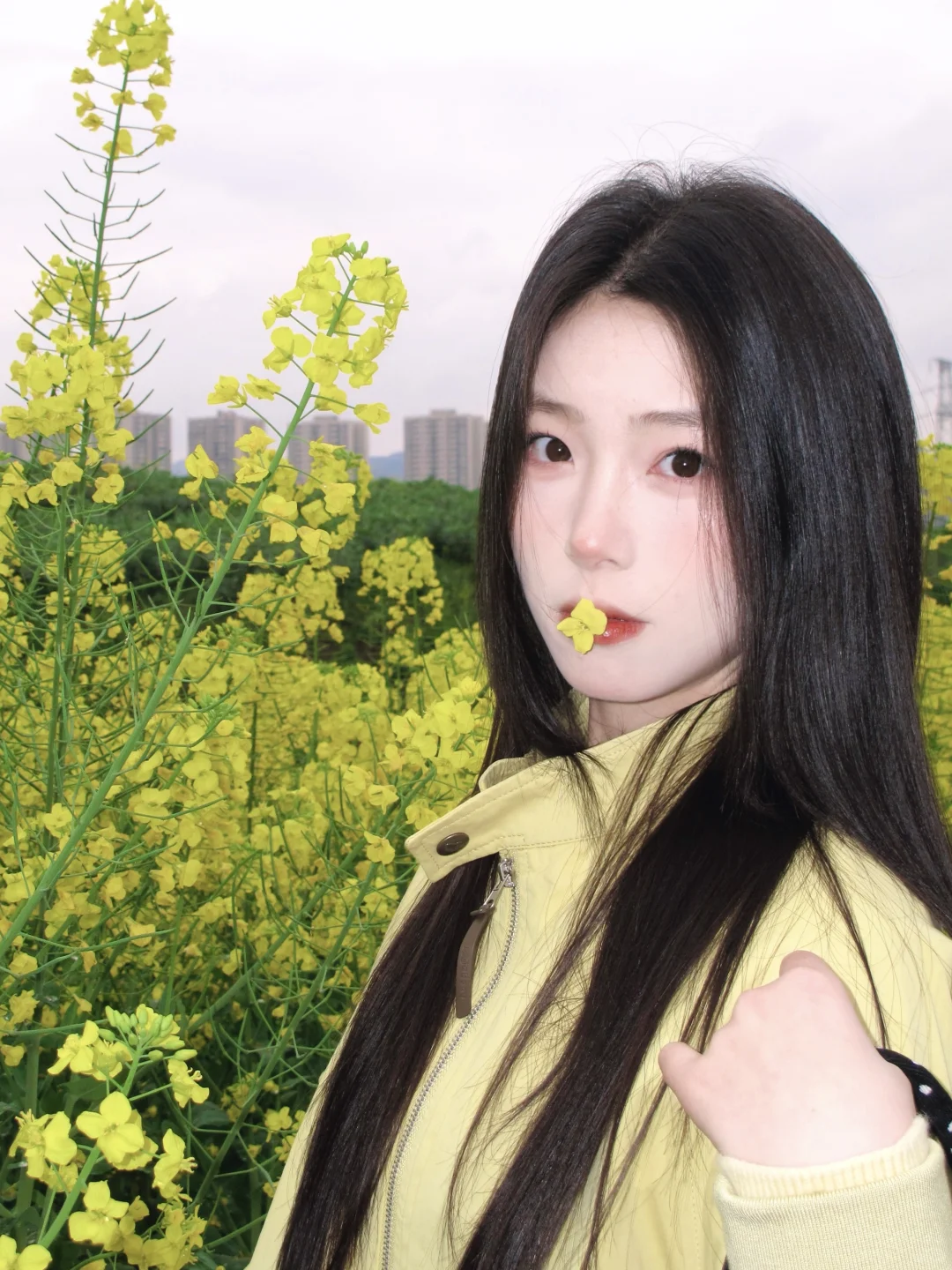 油菜花拍拍！