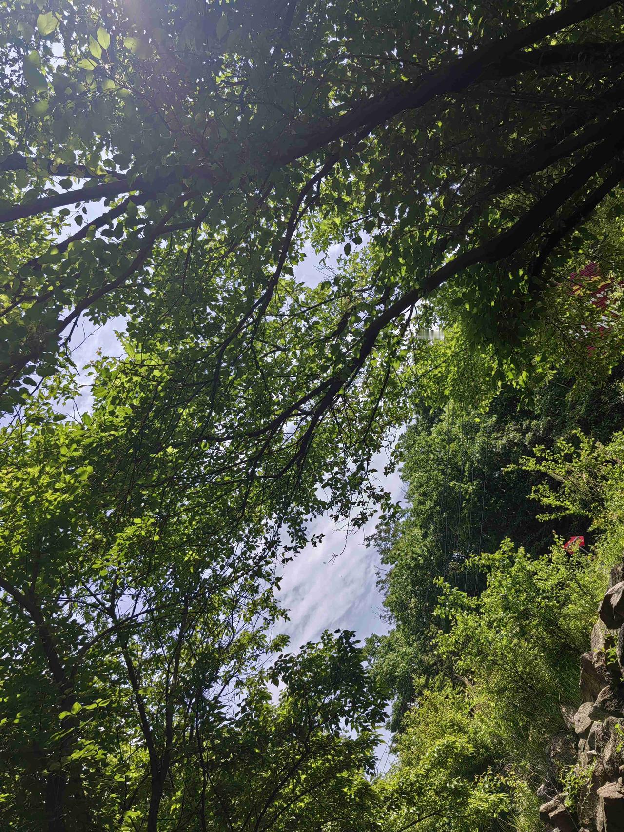 我的今日状态：😁轻松愉快
我这里的天气：☀️晴天