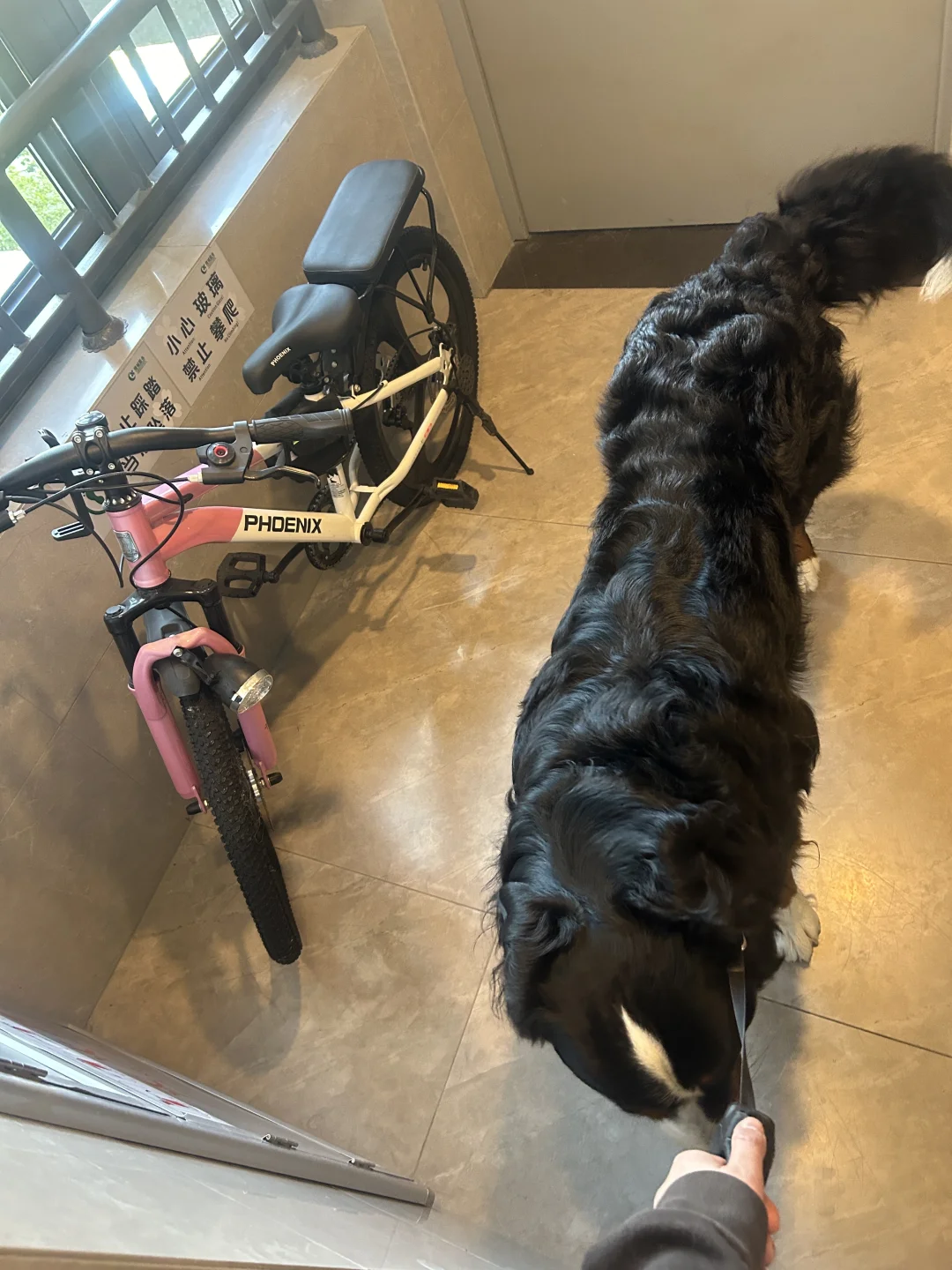 对身长有了直观的感受