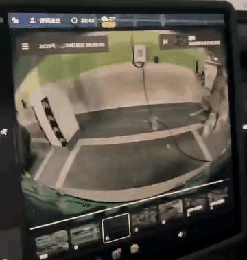 这个女子脾气很暴躁，也非常的愚蠢，用菜刀去砍电线，这是非常危险，非常疯狂的事情，