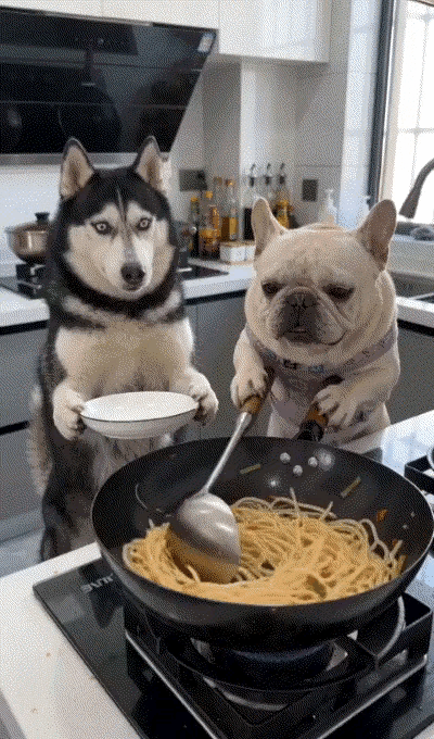 我一般不笑，除非忍不住！
看到狗笑了，我也笑了。

狗把自己逗得合不拢嘴，
我也