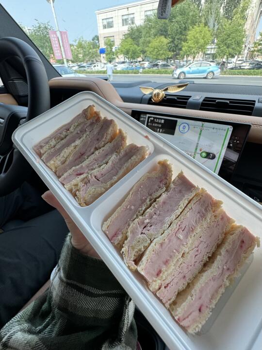 5月沈阳自驾拉萨！！！听劝！！！🤤