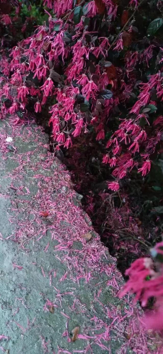 阡陌红尘，总有一些遇见是生命的奇迹，总有一些驿站是孤旅的栖靠；大千世界，有些因缘