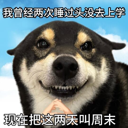 我不是主角谁是主角😌