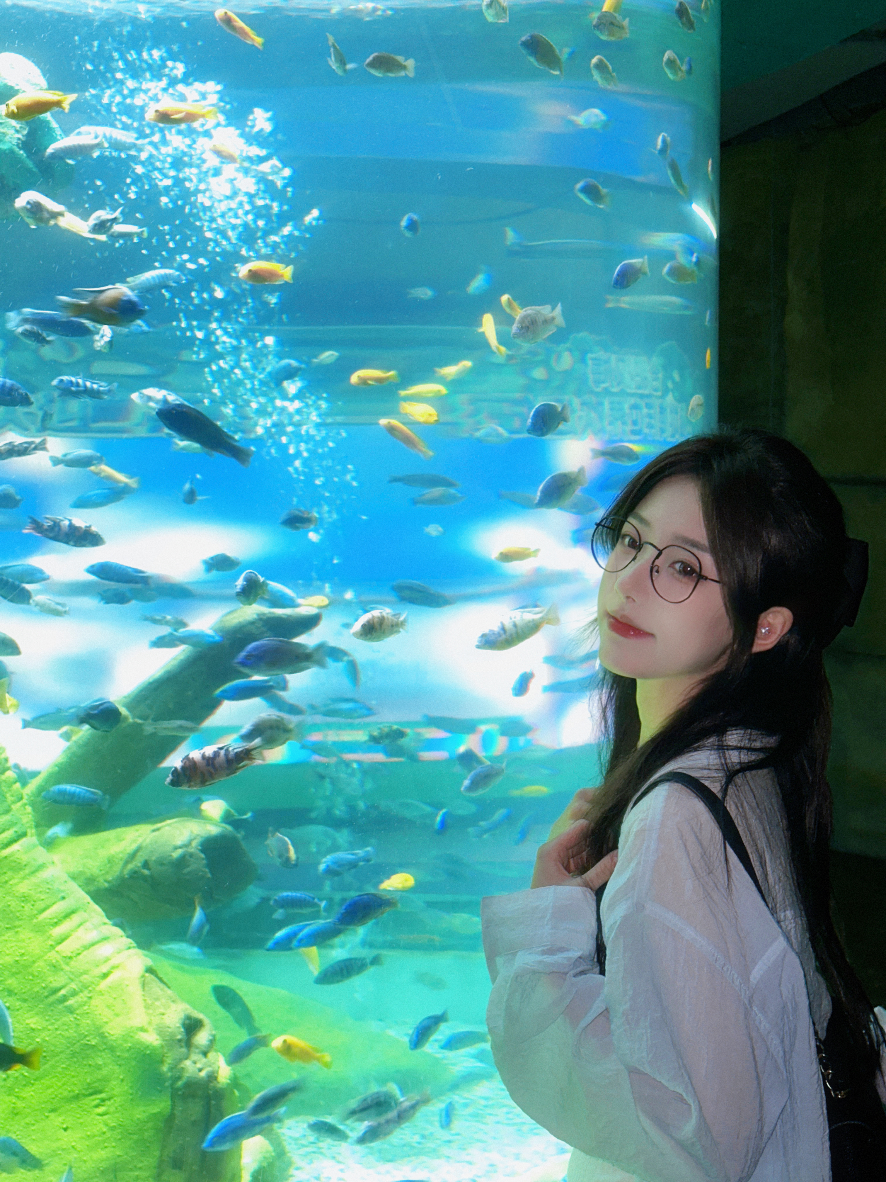 ᵕ̈ 🐳 ᵕ̈ 🐳 ᵕ̈ 🐳 ᵕ̈  ​​​