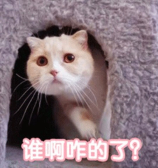 许凯恋情时间线  每天打开微博看到热搜就是一脸懵逼  许凯又是谁？[衰] ​​​