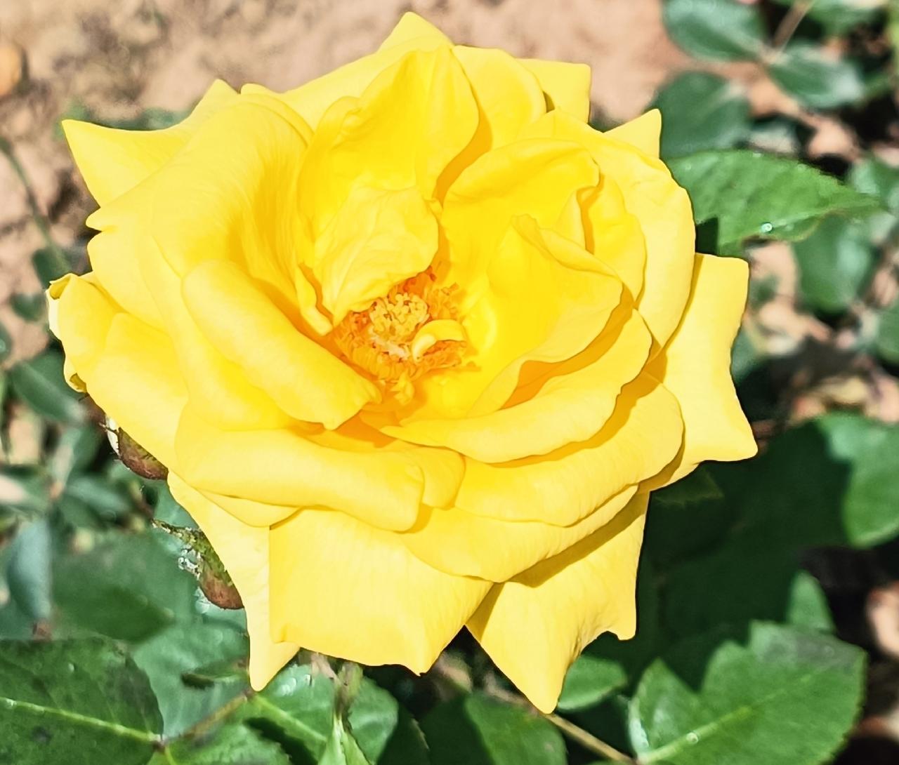 浮生苦短，劳碌匆匆难驻足。余生惜己，采花自赏，寻心之所向，赴一世从容自由。