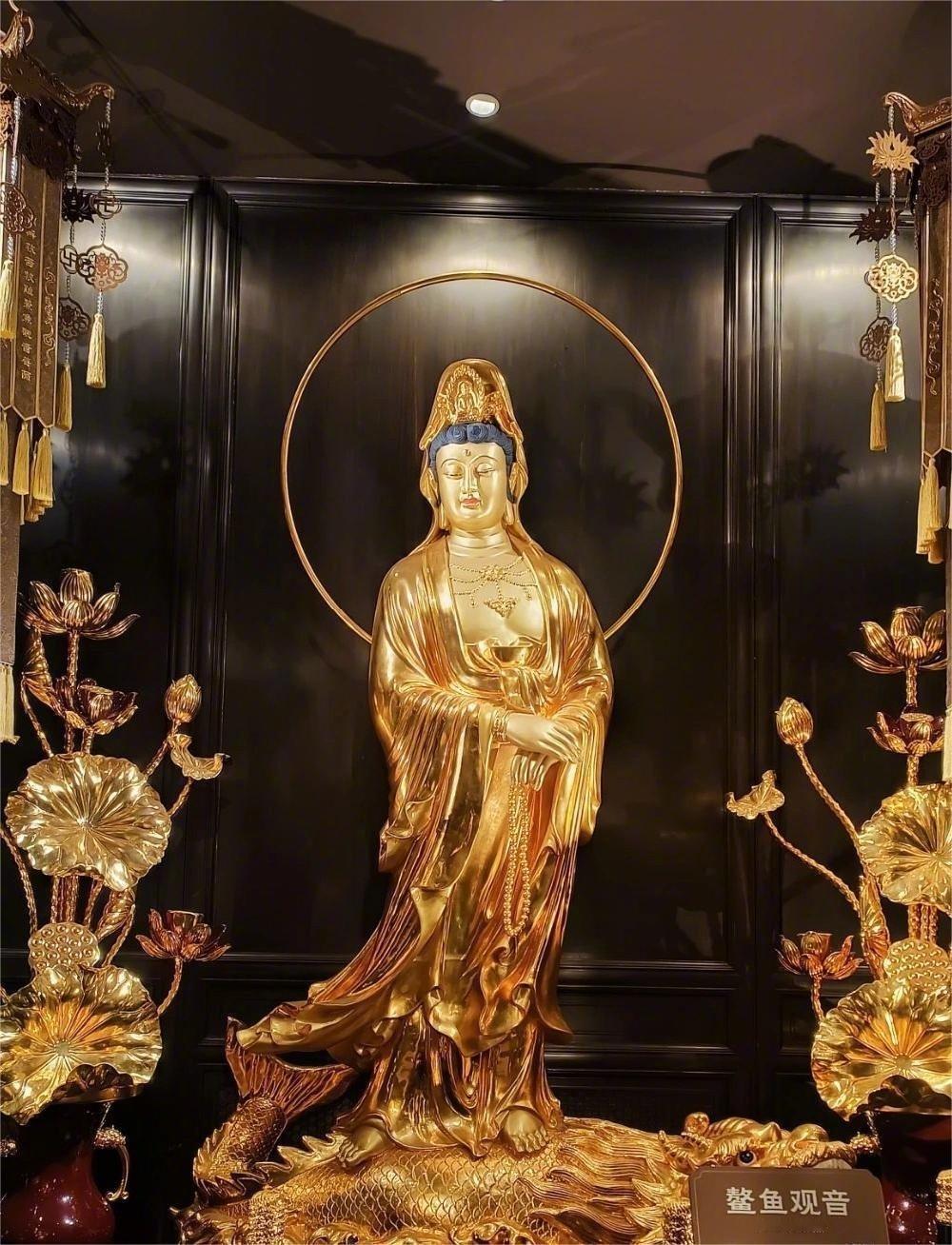 转发，接下来你将好运大翻身 ​ ​​​