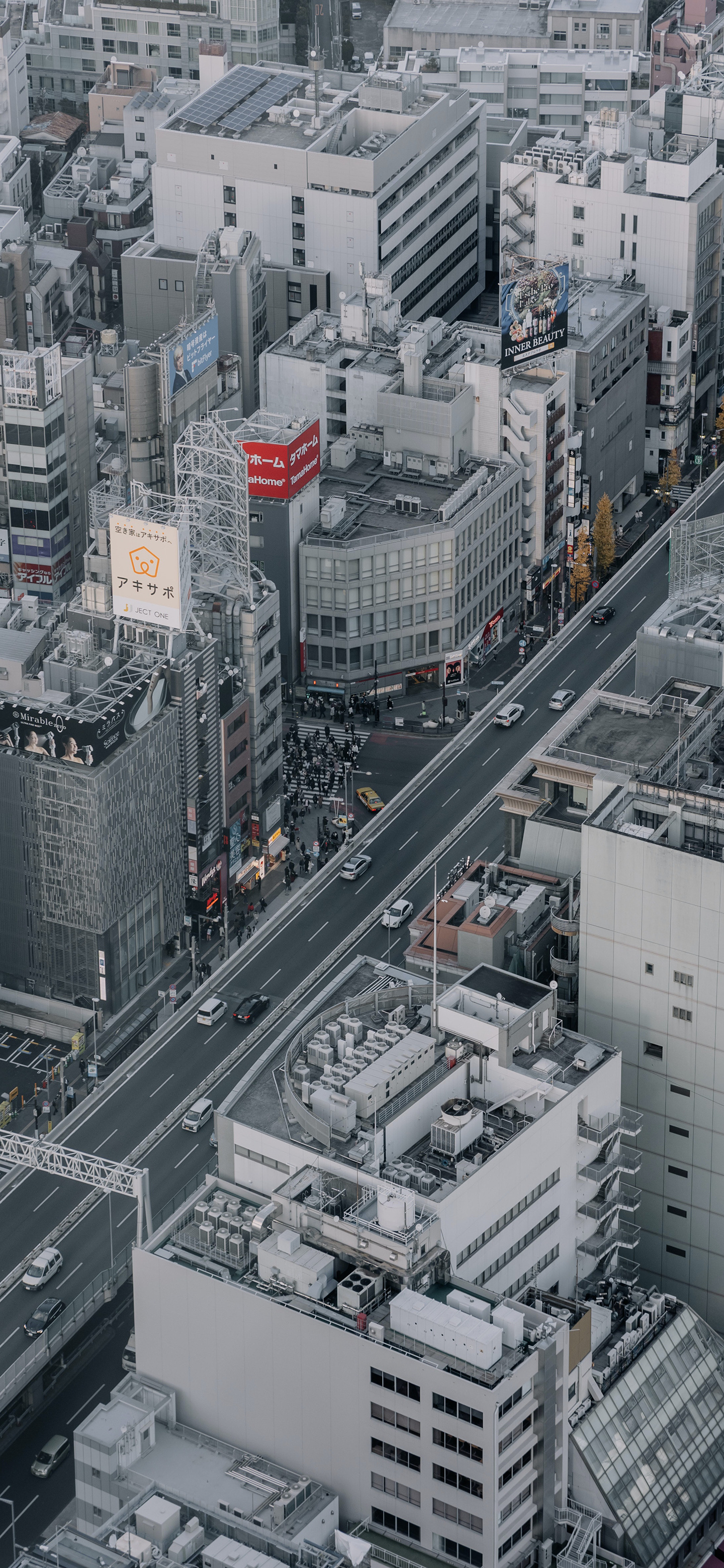 早呀，成年人也是过期的小朋友。六一儿童节快乐[打call][打call] ​​​