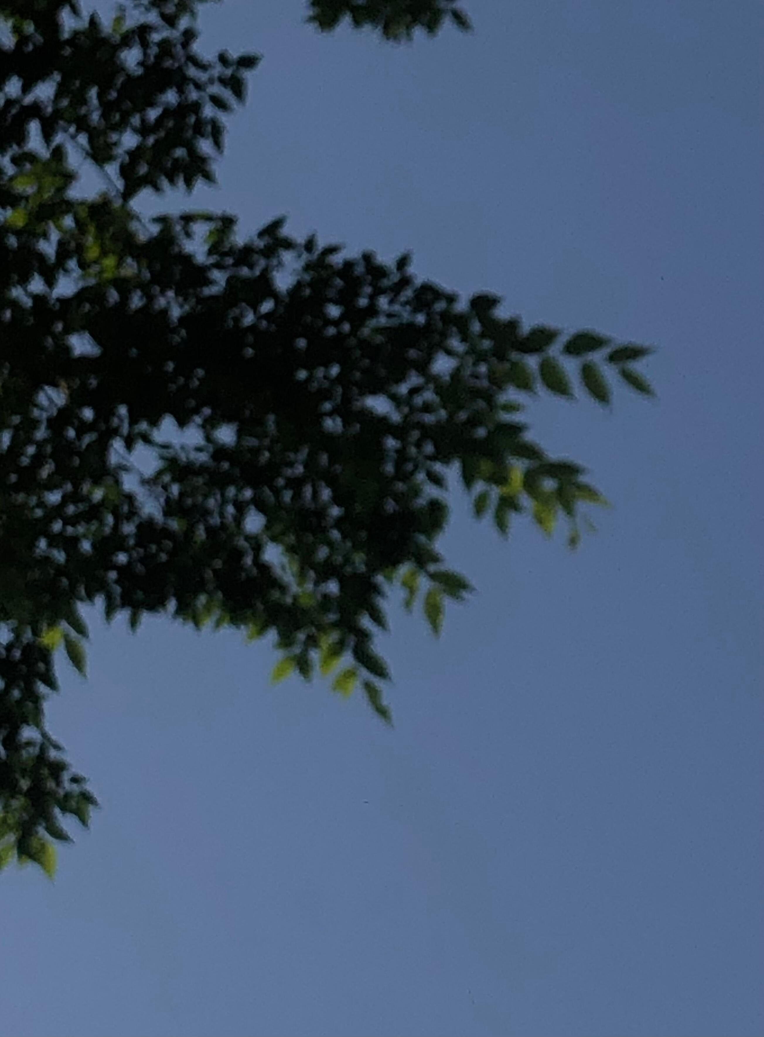 阳光落下 草在生长 ​​​