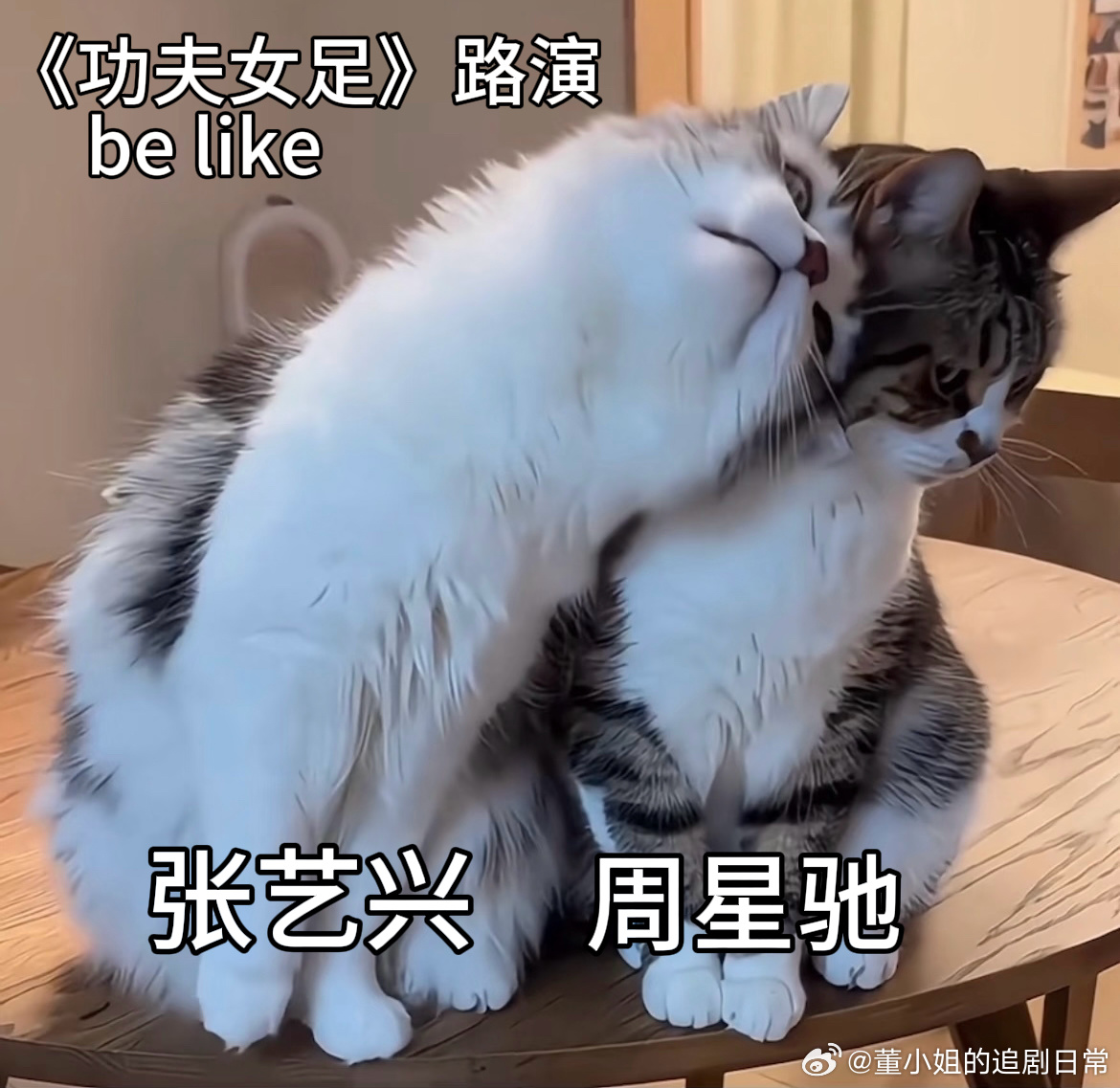 张艺兴路演现场表白周星驰别人追星大多收藏周边，张艺兴直接和偶像合拍电影，当众诉说