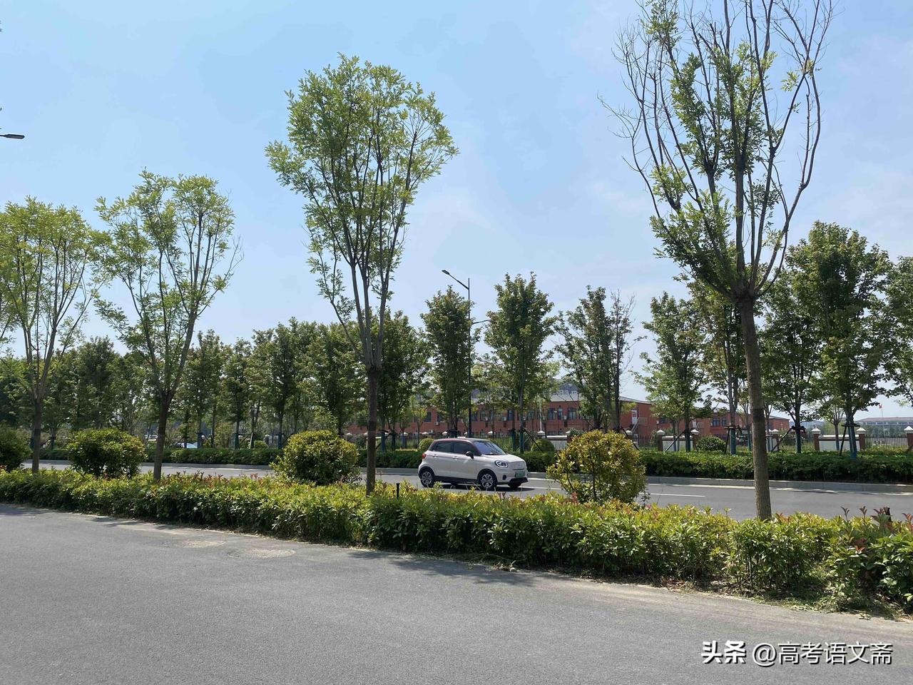 晒图笔记大赛悠闲骑行，享受阳光与绿意