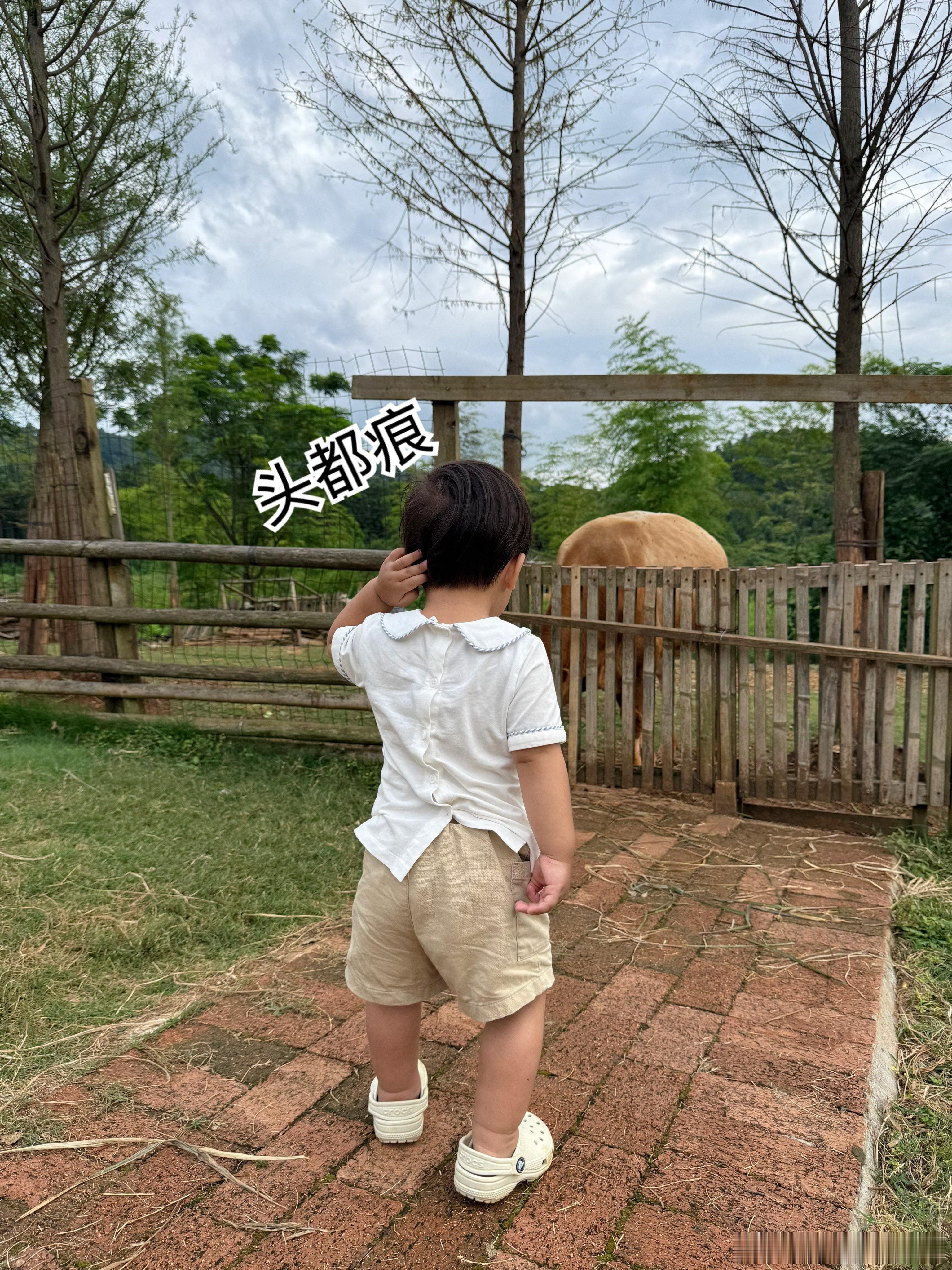 威威和梅梅出发前，把暑假作业塞进书包，信誓旦旦说到酒店会抽出时间做作业的。我刚才