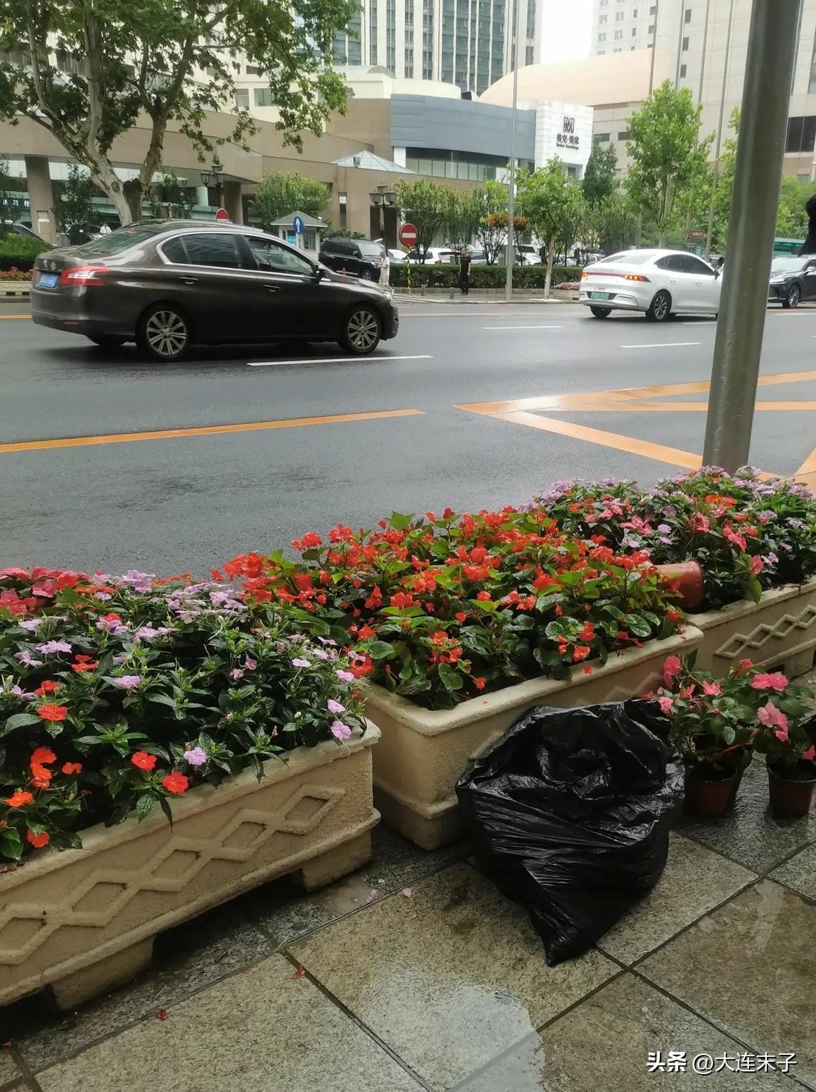 46 小时，降雨72.6毫米，大连本轮降雨量创历史同期极值！

从5月25日17