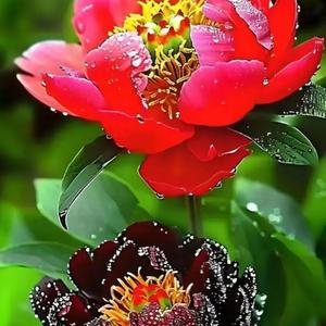 此生又做推敲人