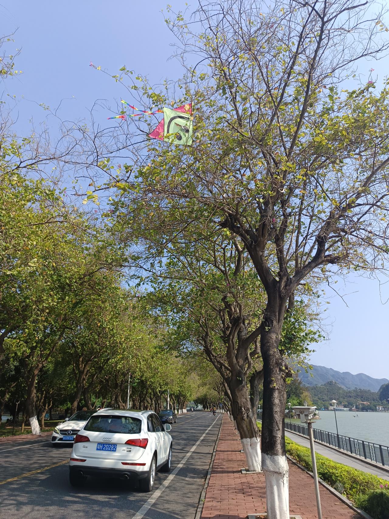 终于知道了
为什么肇庆市这个七星岩会成为5A级风景区
但却依然是没什么人来旅游