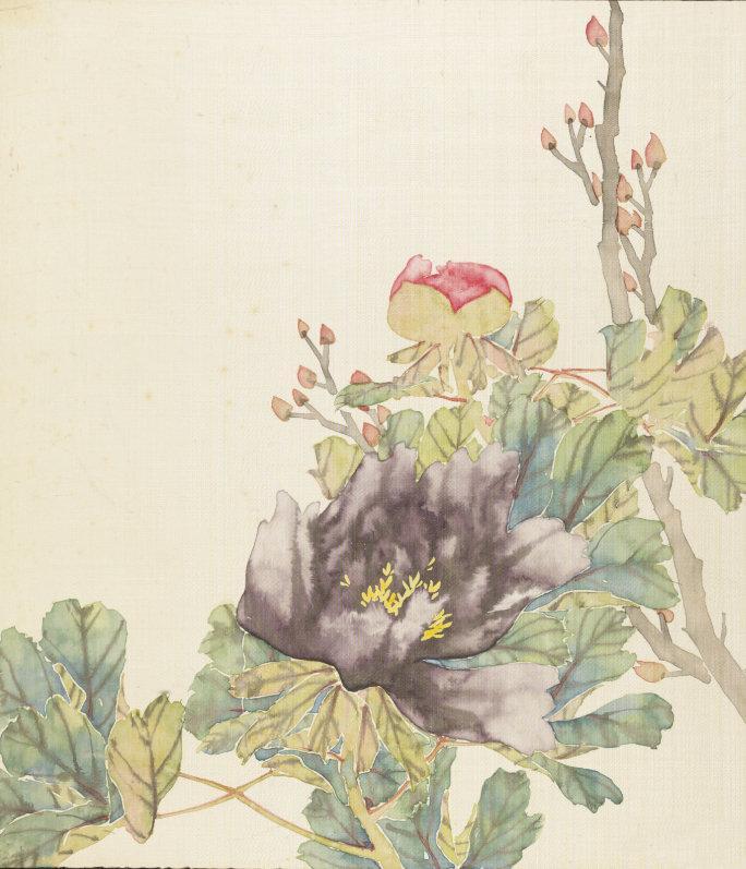 《清人牡丹谱册》中的没骨牡丹，那可真是美极了！不用墨线勾勒轮廓，直接用色彩来描绘