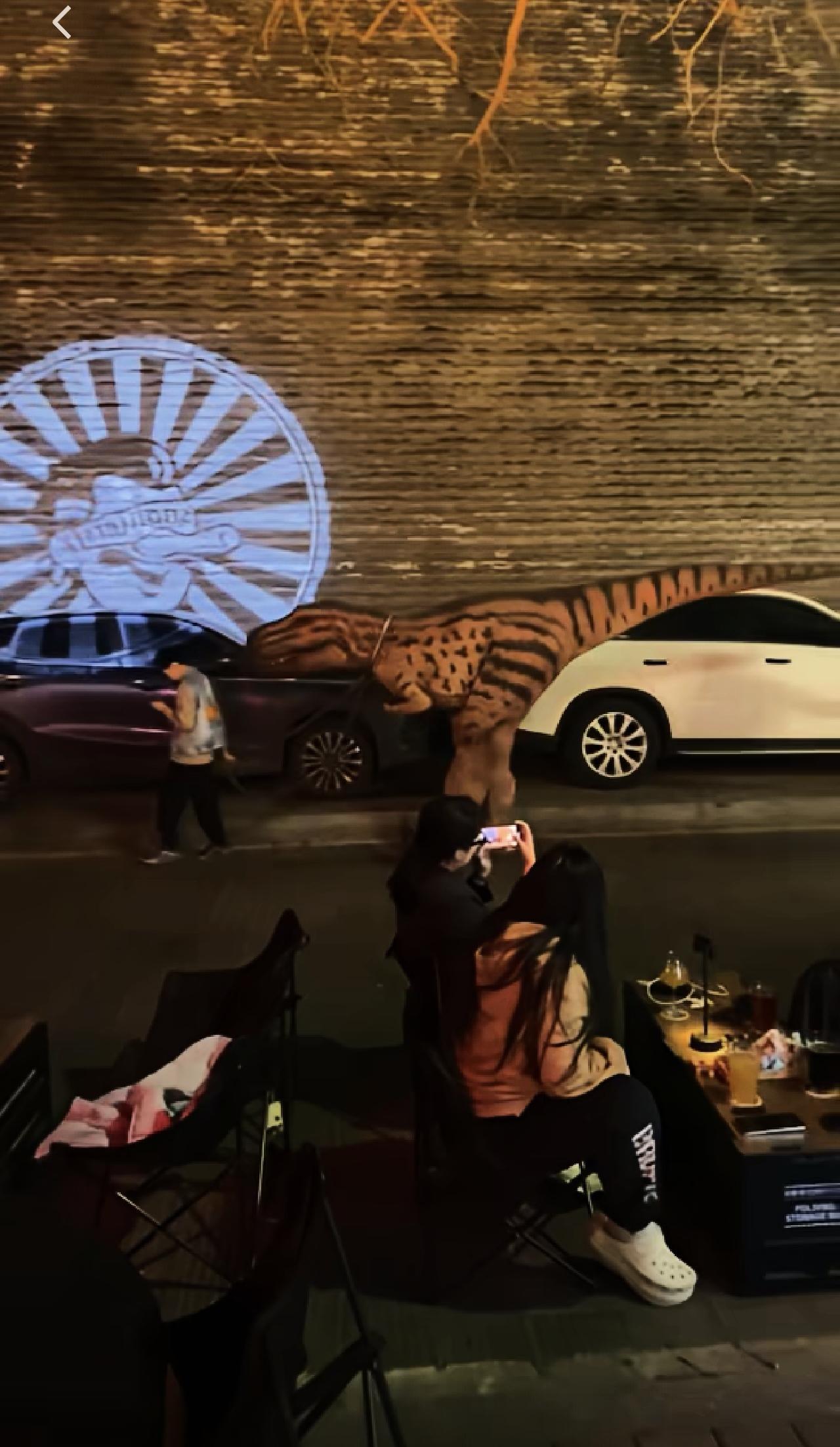 谁说恐龙已经灭绝了？！那是因为你没到西安的街头走一走…