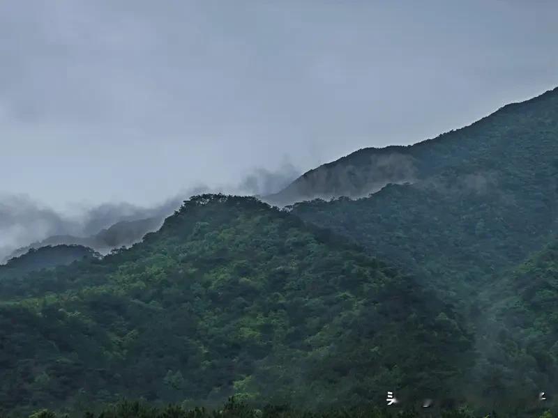 看到“碧水悠悠唤春归”这个上联，一下子就有了对下联的兴致。从对联的词性、意境等方