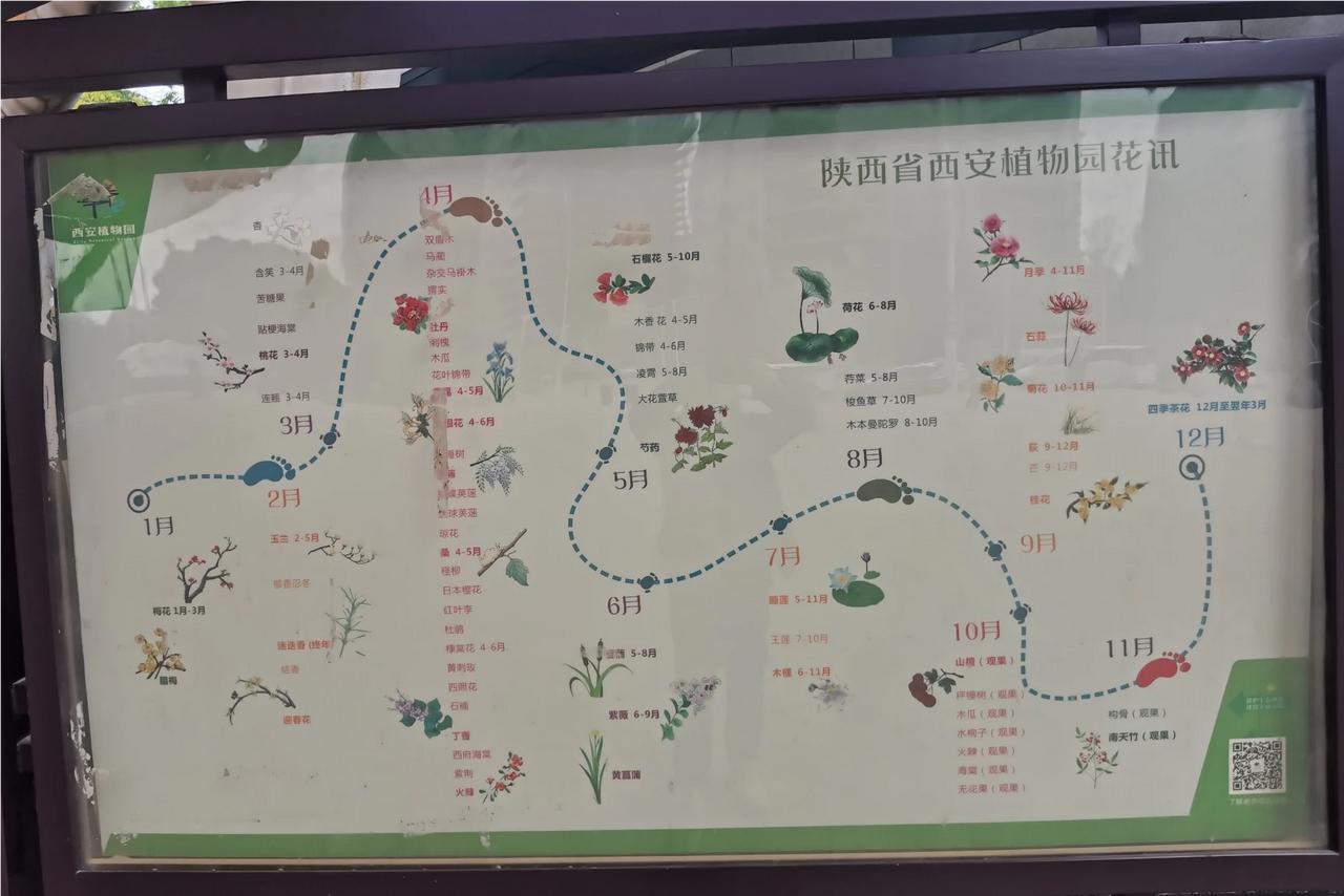 西安植物园花表