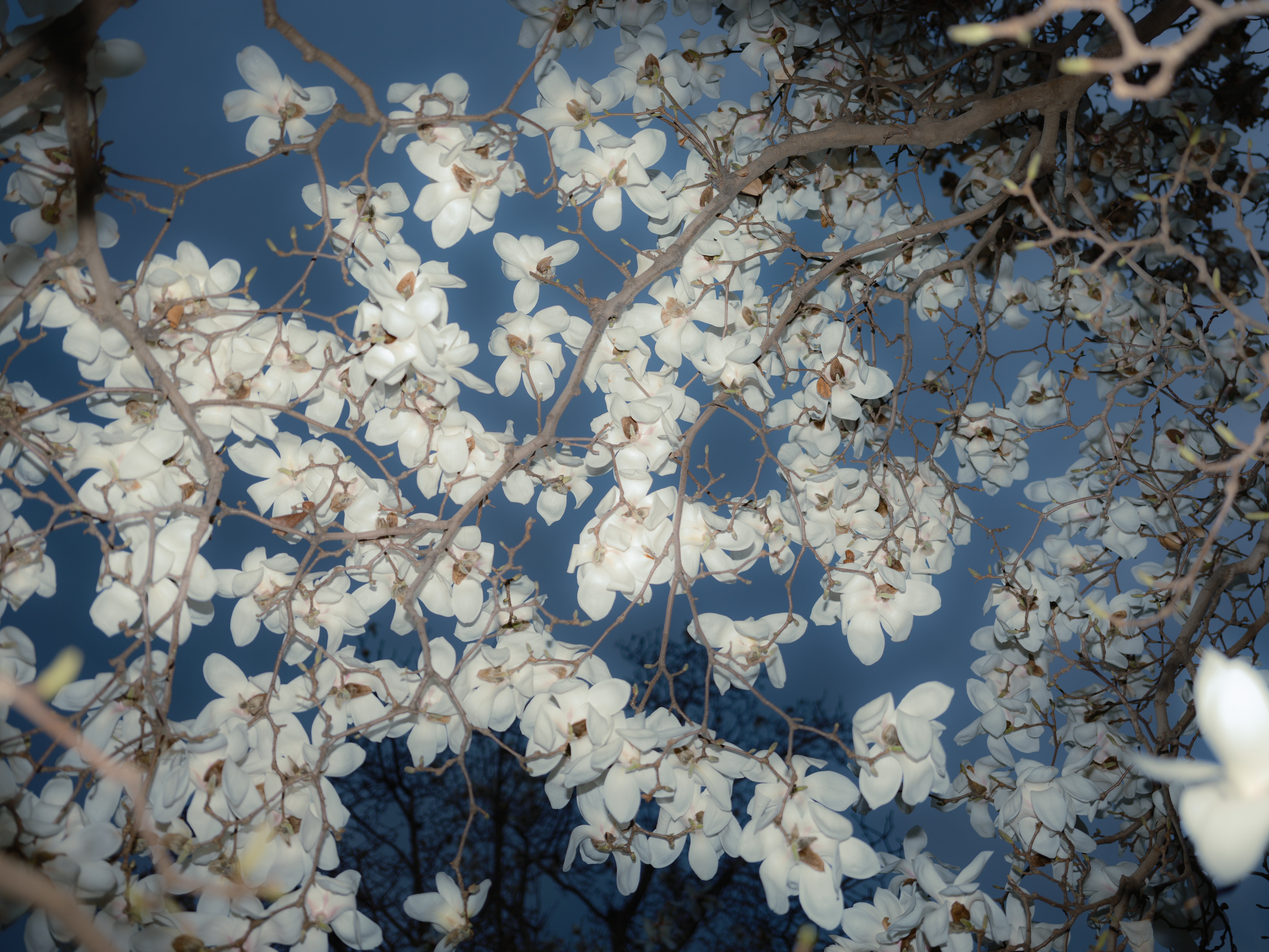 没什么特别的 只是在等你下班的时候拍了些照片 