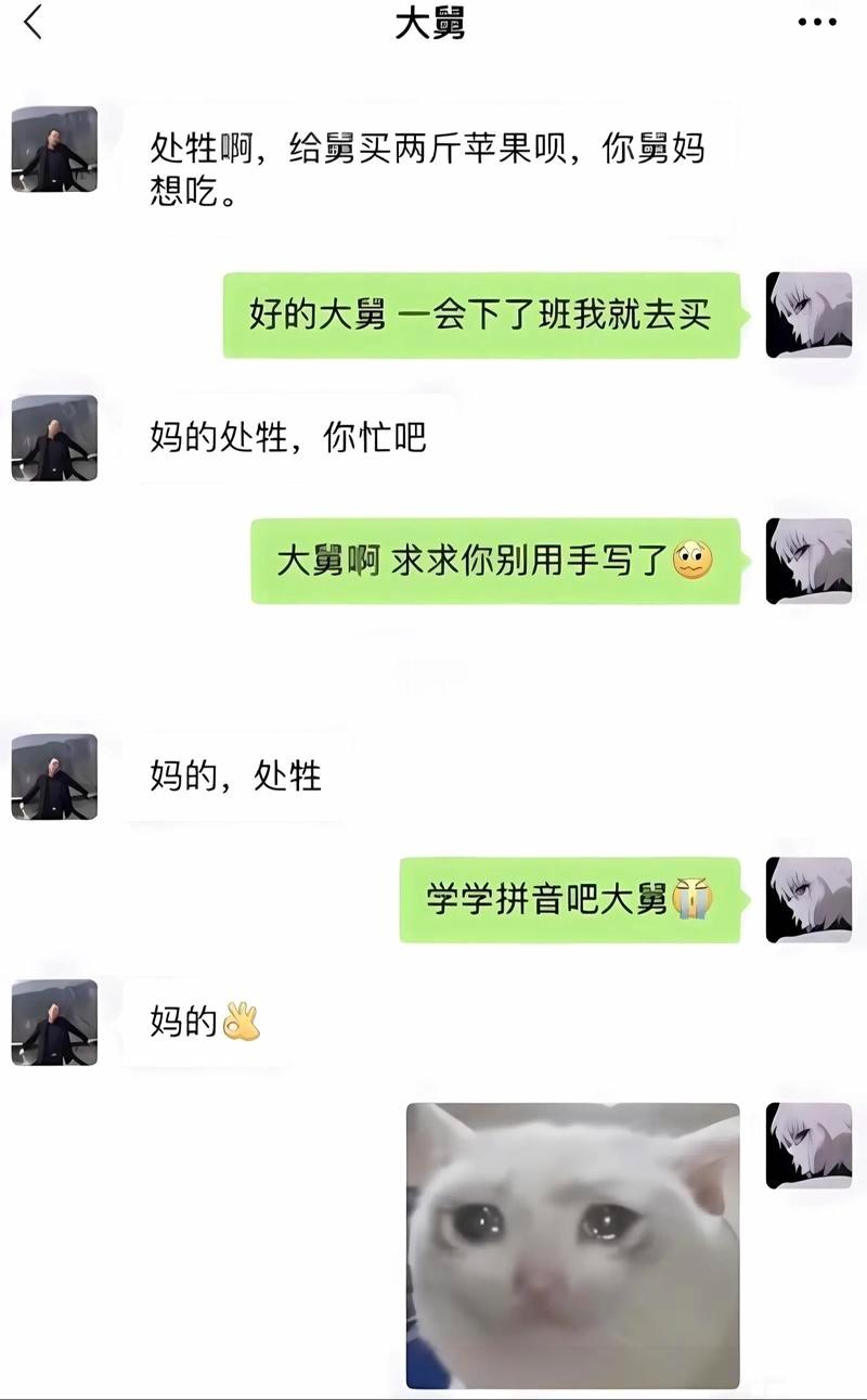 论拼音的重要性 