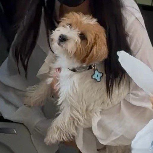 这个娇娇真好看这个妹妹真可爱卢昱晓苏落薇 ​​​