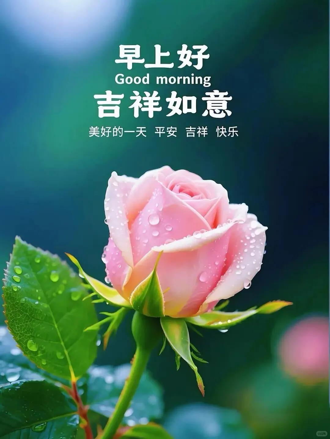 ²⁰²⁶/₀₆.₀₂ 周二｜一键复制发⭕，我把清晨的祝福写进文案里🍒✨
① ?
