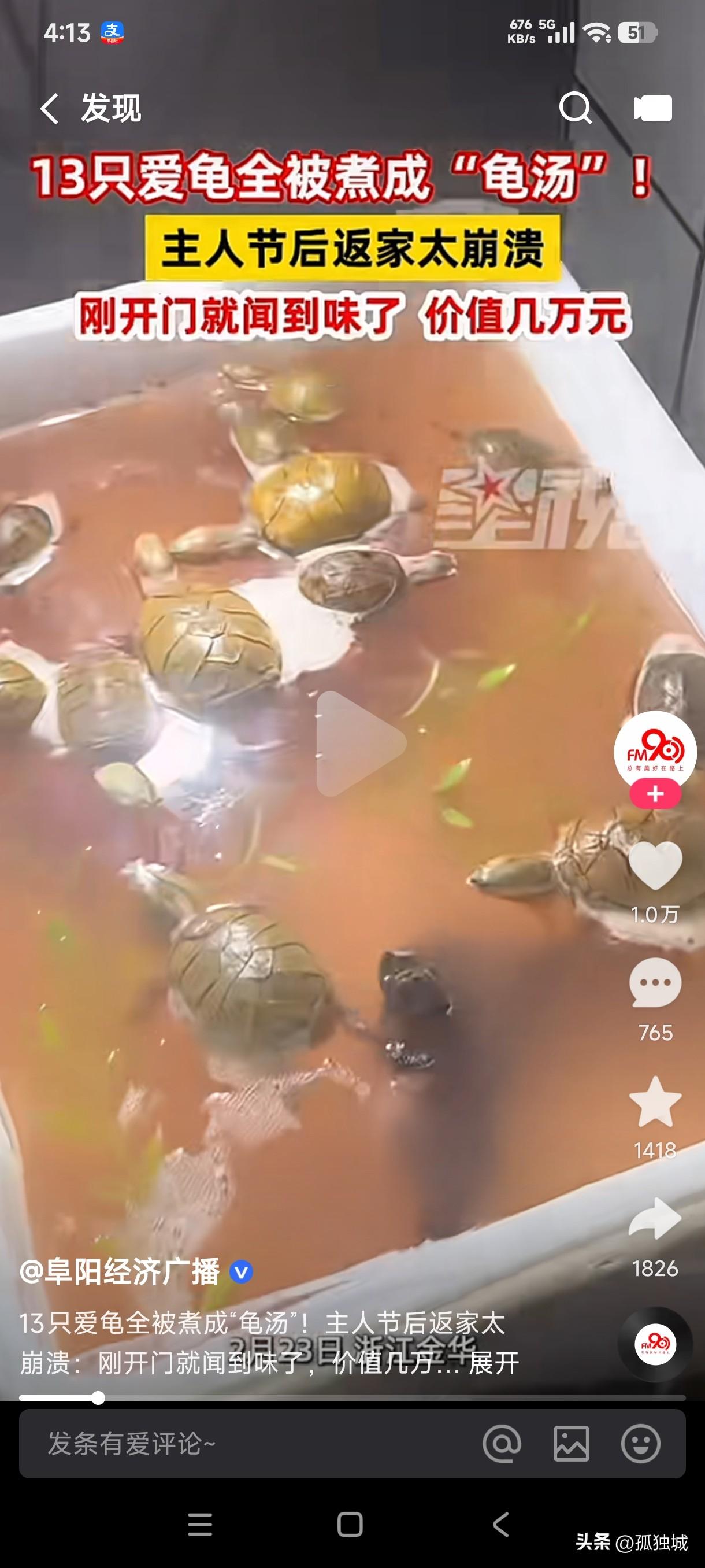 价值万元的龟汤喝过吗？
男子节后返家发现自己心爱的13只价值上万的爱龟被家人给熬