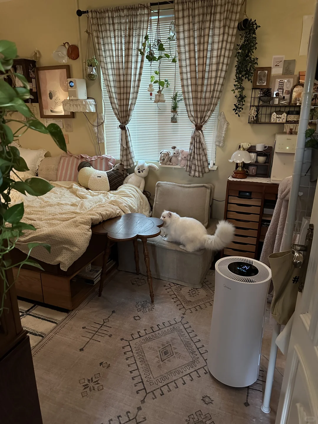 联合宠粉🎁快来开启你的冬日冰雪奇缘!!❄