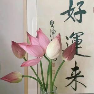 朝安