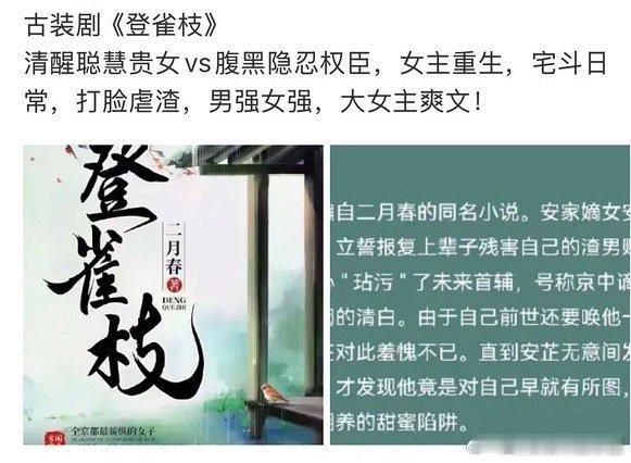 🍉田曦薇 敖瑞鹏二搭《登雀枝》 ​​​