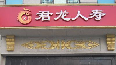 君龙人寿上半年赚钱赚出新高度，总经理遭降职为哪般？据独角金融，总经理任职一年半之